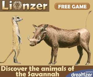Lionzer: free online game, take care of a animal